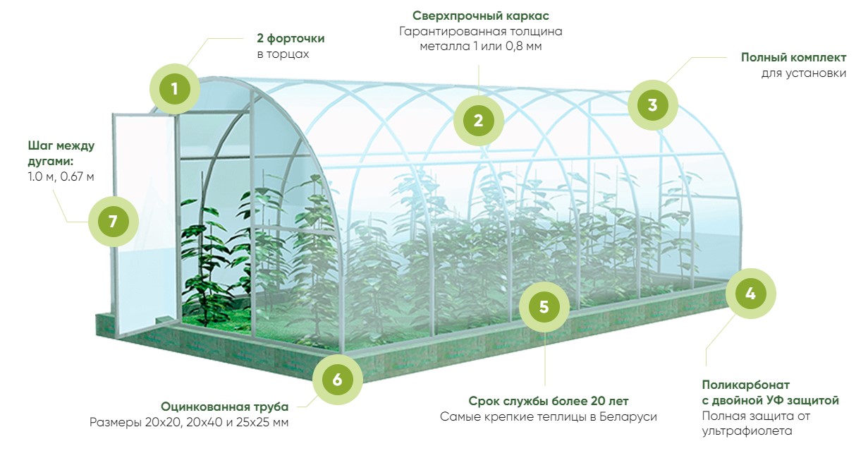 Теплицы с установкой в Витебске и области - Компания 