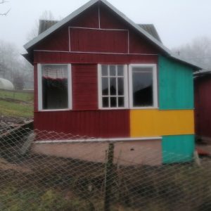 изображение_viber_2025-12-26_17-27-20-206